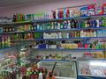 Магазины и бутики • 180 м² за 31 млн 〒 в Шымкенте, Аль-Фарабийский р-н — фото 8