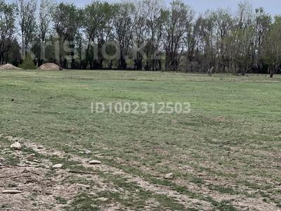 Участок · 1 га, Ораңғай за 35 млн ₸ в Туркестане