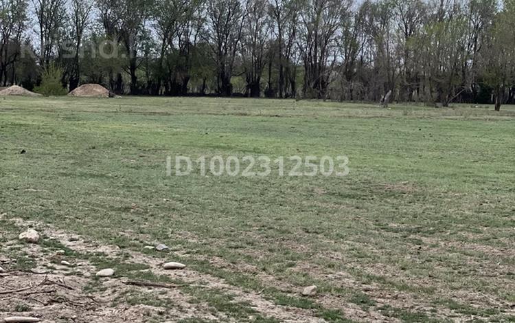 Участок · 1 га, Ораңғай за 35 млн ₸ в Туркестане — фото 4