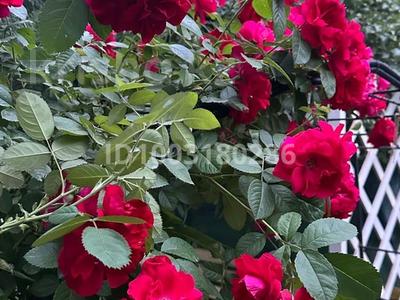 Дача · 4 комнаты · 92 м² · 7.4 сот., Коммунальник 25 — База отдыха &quot;Асем&quot; за 14.9 млн 〒 в Актобе, жилой массив Кирпичный