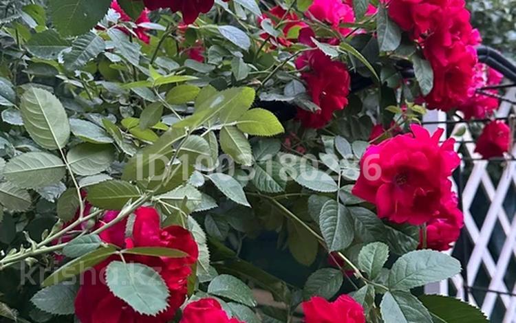 Дача · 4 комнаты · 92 м² · 7.4 сот., Коммунальник 25 — База отдыха &quot;Асем&quot; за 14.9 млн 〒 в Актобе, жилой массив Кирпичный — фото 112