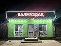 Жеке үй · 5 бөлме · 150 м² · 8 жүзд., Достық ш/а 15 — Мұзтау 15, бағасы: 46 млн ₸ в Шымкенте, Абайский р-н — фото 10
