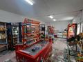 Магазины и бутики • 150 м² за 100 000 〒 в Таразе — фото 5