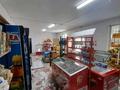 Магазины и бутики • 150 м² за 100 000 〒 в Таразе — фото 6
