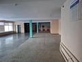 Свободное назначение · 250 м² за 20 млн ₸ в Житикаре — фото 7