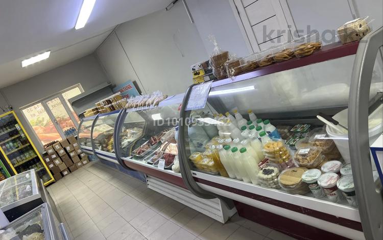 Мясной магазин готовый бизнес · 90 м² за 18 млн 〒 в Атырау, мкр Нурсая — фото 2