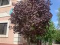 Отдельный дом · 7 комнат · 360 м² · 13 сот., Алмалы за 97 млн ₸ в Жандосов — фото 13