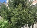 Отдельный дом · 7 комнат · 360 м² · 13 сот., Алмалы за 97 млн ₸ в Жандосов — фото 7
