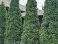 Отдельный дом · 5 комнат · 400 м² · 8 сот., Достык — Мкр.Алатау (Медеуский район, ИЯФ) за 220 млн ₸ в  — фото 17
