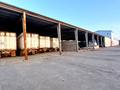 Завод 8 га, С.Узуната 1099 за 1 млрд 〒 в Шардара — фото 2