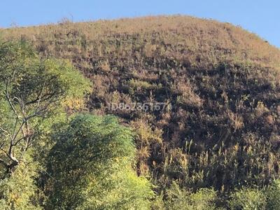 Участок · 4 га, Есик за 4.6 млн 〒