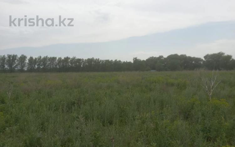 Жер телімі · 1000 га, Акши, бағасы: 15 млн ₸ — фото 2