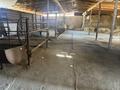 Часть дома · 3 комнаты · 111 м² · 10 сот., Даулет 22 за 30 млн ₸ в Алатау — фото 6