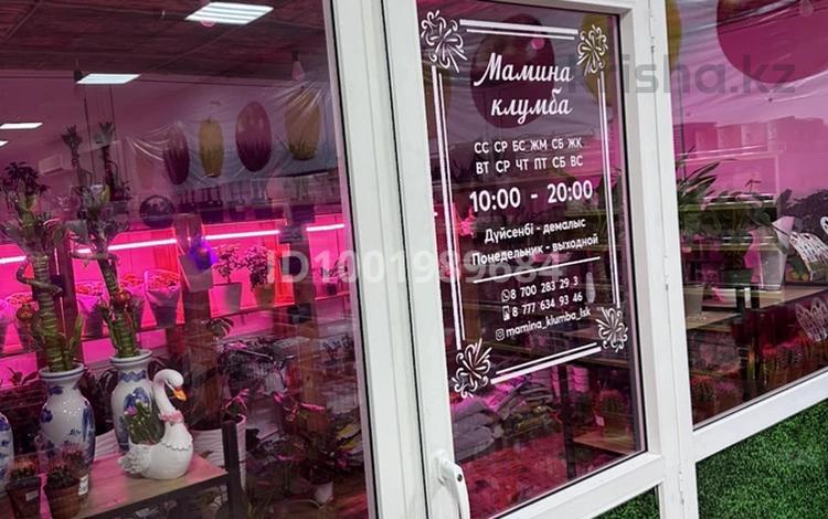  действующий бизнес · 24 м², бағасы: 1 млн ₸ в Лисаковске — фото 24