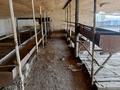 Жер телімі · 130 сотық, Дуружба, бағасы: 32 млн ₸ в  — фото 14