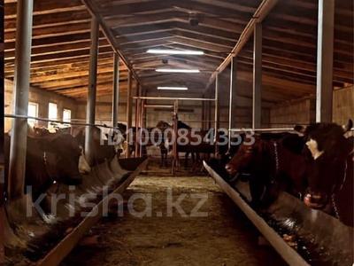 Фермерское хозяйство · 1300 м² за 57 млн ₸ в Нурлы