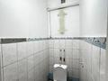 Часть дома · 4 комнаты · 131.2 м² · 5.2 сот., Центральная 2 за 27 млн ₸ в Семее — фото 12