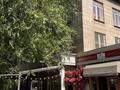 3-бөлмелі пәтер · 75.3 м² · 3/3 қабат, Желтоксан 144 — Золотой квадрат, бағасы: 72 млн ₸ в Алматы, Алмалинский р-н — фото 17