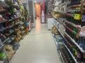 Магазин продуктовый · 82.2 м² за 10 млн ₸ в Астане, р-н Байконур — фото 14
