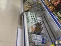 Магазин продуктовый · 82.2 м² за 10 млн ₸ в Астане, р-н Байконур — фото 2