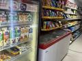 Магазин продуктовый · 82.2 м² за 10 млн ₸ в Астане, р-н Байконур — фото 8