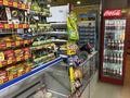 Магазин продуктовый · 82.2 м² за 10 млн ₸ в Астане, р-н Байконур — фото 9