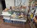 Часть дома · 4 комнаты · 100 м² · 6 сот., мкр. Зачаганск пгт 12/1 — Птицафабрика за 30 млн ₸ в Уральске — фото 22
