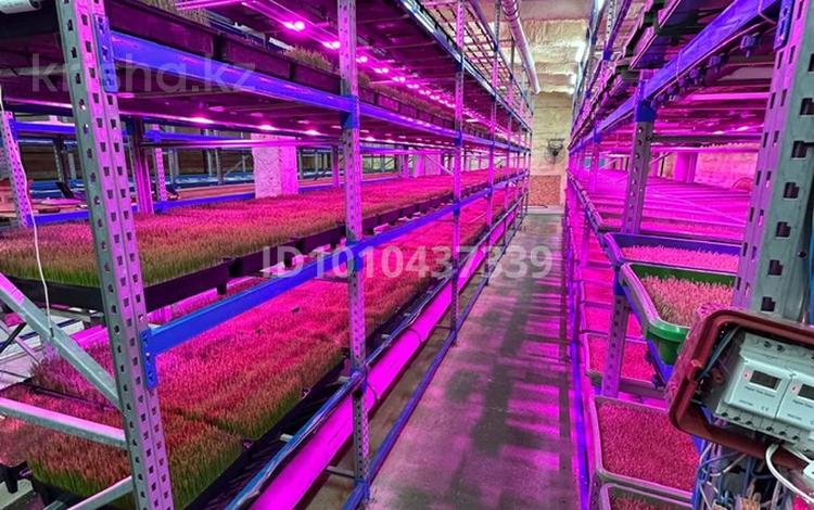 Свободное назначение, склады, сельское хозяйство · 500 м² за 100 млн ₸ в Алматы — фото 2