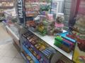 Продуктовый магазин · 65 м² за 6.8 млн ₸ в Астане, Есильский р-н — фото 3