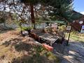 Жеке үй · 6 бөлме · 270 м² · 13 жүзд., 05-070-062 3007, бағасы: 100 млн ₸ в Новой бухтарме — фото 44