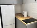 2-комнатная квартира · 48 м² · 18/20 этаж, Гагарина 310 за 24 000 ₸ в Алматы, Бостандыкский р-н — фото 12