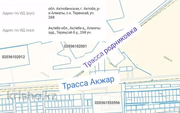 Участок · 1164 сотки, Теренсай 268 — Кедровый 268 за 6 млн ₸ в Актобе, жилой массив Кирпичный — фото 2