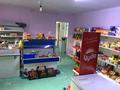 Магазины и бутики • 50 м² за 14 млн 〒 в Шамалгане — фото 6