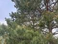 Отдельный дом · 2 комнаты · 45 м² · 10 сот., С/ т Рябинка за 10 млн ₸ в Уральске