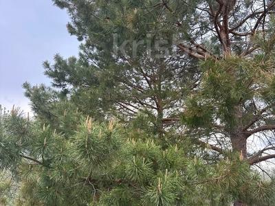 Отдельный дом · 2 комнаты · 45 м² · 10 сот., С/ т Рябинка за 14.5 млн 〒 в Уральске