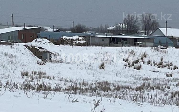 Жер телімі · 6.6 га, Көкқайнар, бағасы: 100 млн ₸ в  — фото 2