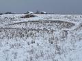 Жер телімі · 6.6 га, Көкқайнар, бағасы: 100 млн ₸ в  — фото 4