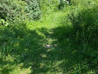 Участок · 50 соток, Ремизовка — Назконыр за 350 млн 〒 в Алматы, Медеуский р-н