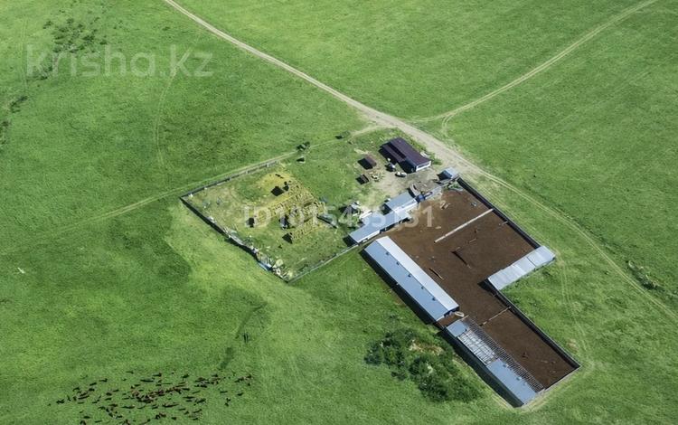 Участок · 910 га, Таргап за 320 млн ₸ в Алматинской обл. — фото 2