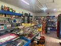Отдельный дом · 5 комнат · 140 м² · 8 сот., мкр Айнабулак-3, улица Павлодарская 112 — Магазин городок за 135 млн ₸ в Алматы, Жетысуский р-н — фото 12
