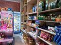 Магазины и бутики · 35 м² за 250 000 ₸ в Алматы, Алатауский р-н — фото 7