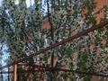 Отдельный дом · 6 комнат · 330 м² · 600 сот., мкр Лесхоз, Толесин Алиева 19 — SPA “Тамаша”-ның қасы, торг бар за 64 млн ₸ в Атырау — фото 13