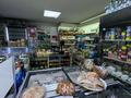 Магазины и бутики · 60 м² за 31 млн ₸ в Павлодаре — фото 11
