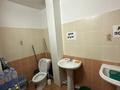Магазины и бутики · 60 м² за 31 млн ₸ в Павлодаре — фото 9