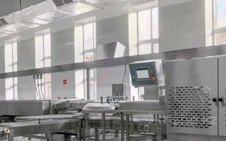 Кондитерская фабрика действующая · 13000 м² за ~ 8 млрд 〒 в Челябинске — фото 2