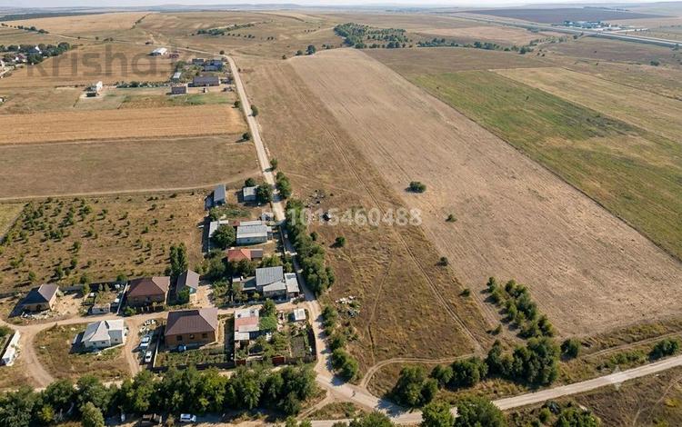 Участок · 1 га, Коксай (Путь Ильича) за 60 млн ₸ — фото 2