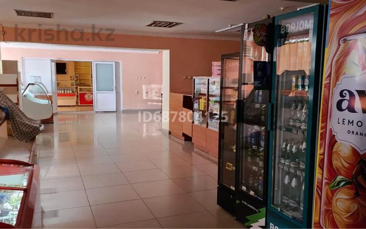Еркін · 60 м², бағасы: 200 000 ₸ в Караганде, Казыбек би р-н — фото 5