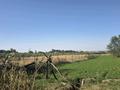 Жер телімі · 8.19 сотық, Қаскелең, бағасы: 8 млн ₸ в Каскелене — фото 7