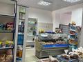 Еркін, дүкендер мен бутиктер, білім орталықтары · 190 м², бағасы: 45 млн ₸ в Атырау, мкр Атырау — фото 2