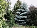 Часть дома · 3 комнаты · 90 м² · 11 сот., мкр Айнабулак-3 за 55 млн ₸ в Алматы, Жетысуский р-н — фото 6